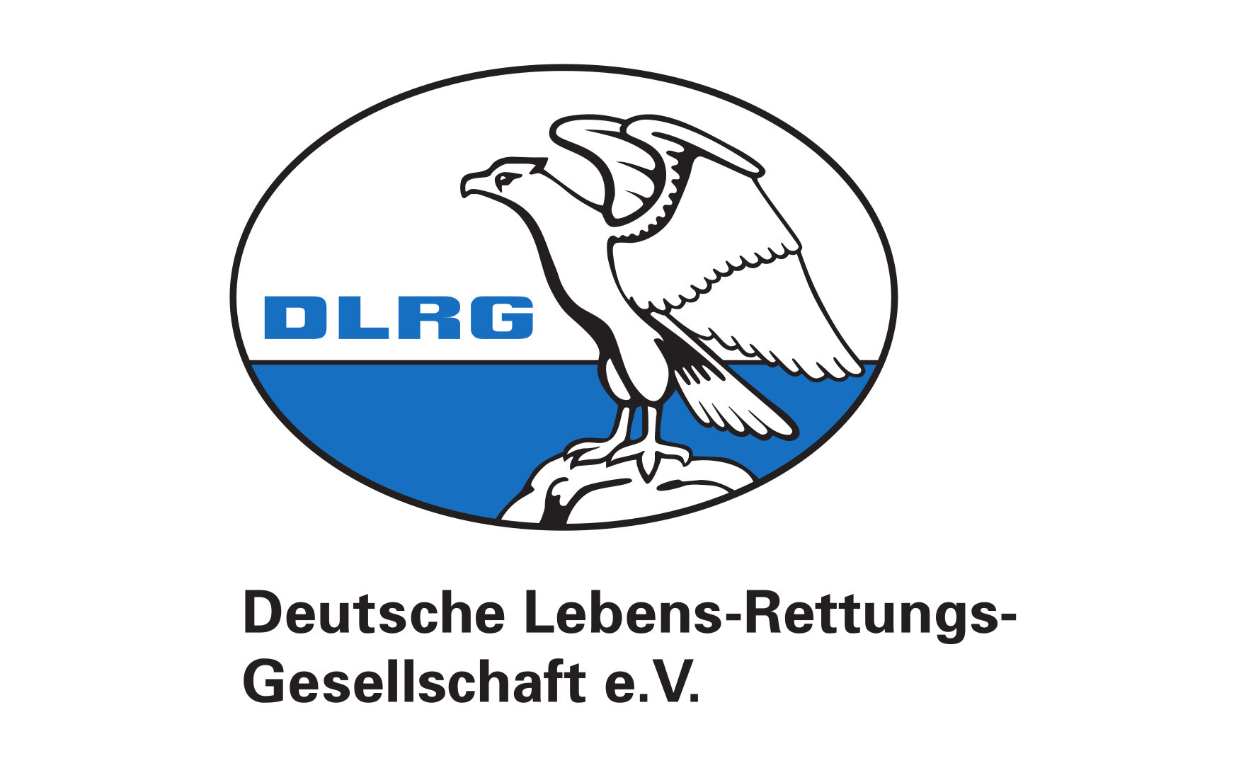 Logo Deutsche Lebens-Rettungs-Gesellschaft e. V.